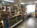 Свободное назначение, магазины и бутики, азс, автосервисы и автомойки · 90 м² за 60 млн 〒 в Кокшетау — фото 3