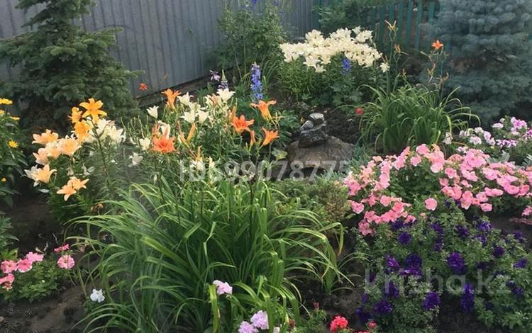 Жеке үй · 5 бөлме · 328 м² · 12 жүзд., М-н Южный 230, бағасы: 99 млн ₸ в Мичуринское — фото 10