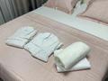 2-бөлмелі пәтер · 50 м² · 17/17 қабат, Туран 43/5, бағасы: 18 000 ₸ в Астане, Нура р-н — фото 13