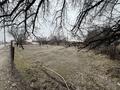 Участок · 18 соток, Аааааа 11 за 9 млн ₸ в Кентау — фото 4