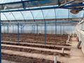 Теплица · 1000 м² за 48 млн ₸ в Талдыкоргане — фото 11