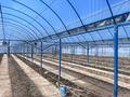 Теплица · 1000 м² за 48 млн ₸ в Талдыкоргане — фото 12