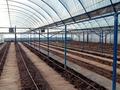 Теплица · 1000 м² за 48 млн ₸ в Талдыкоргане — фото 18