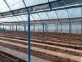 Теплица · 1000 м² за 48 млн ₸ в Талдыкоргане — фото 4