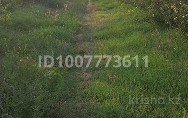 Жер телімі · 4.8 га, Кх — Подгорная, бағасы: 28 млн ₸ в Байдибек би — фото 3