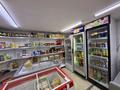 Свободное назначение, офисы, магазины и бутики, салоны красоты, образование, развлечения, кабинеты и рабочие места, студии · 55 м² за 270 000 ₸ в Астане, Алматы р-н — фото 3