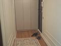 2-бөлмелі пәтер · 46 м² · 1/5 қабат, Басенова 39, бағасы: 310 000 ₸ в Алматы, Бостандыкский р-н — фото 6