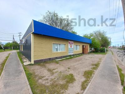 Свободное назначение · 149 м² за 22.2 млн ₸ в Желаеве