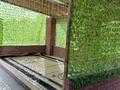 Дача · 2 комнаты · 50 м² · 6 сот., жилой массив Кайнар Булак, Мелиоратор 2 127 за 19.8 млн ₸ в Шымкенте, Абайский р-н — фото 34