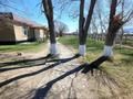 Готовый бизнес · 200 м², бағасы: 36 млн ₸ в Нарынколе — фото 12