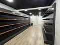 Магазины и бутики, развлечения, студии · 120 м² за 2 млн ₸ в Алматы, Бостандыкский р-н — фото 12
