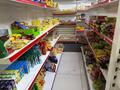 Свободное назначение, магазины и бутики · 60 м² за 300 000 ₸ в Астане, Нура р-н — фото 8