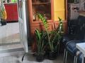 3-бөлмелі пәтер · 65 м² · 3/5 қабат, Алдиярова 72, бағасы: 30 млн ₸ в Шымкенте, Енбекшинский р-н — фото 5