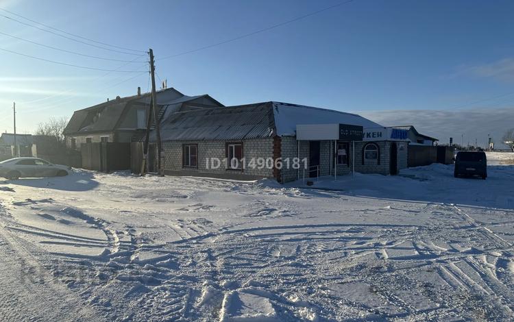 Отдельный дом · 3 комнаты · 200 м² · 20 сот., Целинная 64 за 40 млн ₸ в Узунколе — фото 2