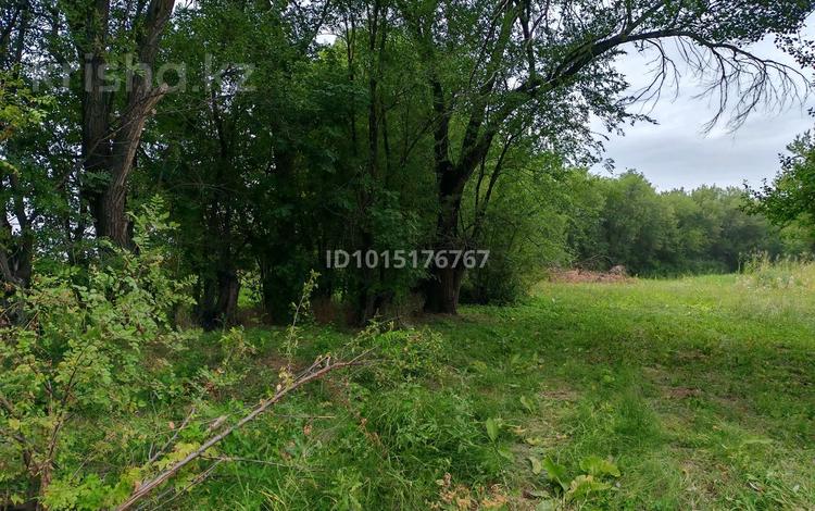 Сельское хозяйство · 34000 м² за 150 000 ₸ в Ташкенсазе — фото 2