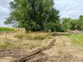 Сельское хозяйство · 34000 м² за 150 000 ₸ в Ташкенсазе — фото 7