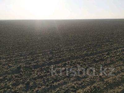 Сельское хозяйство • 60000 м² за 2.5 млрд 〒 в Акмолинской обл.
