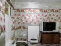 Отдельный дом · 3 комнаты · 60.9 м² · 23 сот., Жетiсу — Центр, все коммуникации центральные за 39 млн ₸ в Бекболате — фото 13