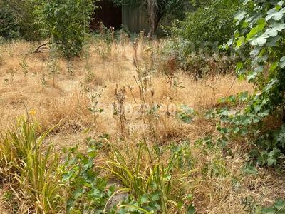 Дача · 2 комнаты · 20 м² · 5.4 сот., жилой массив Кайнар Булак, Розовая — Не далико от центральной за 11 млн 〒 в Шымкенте, Абайский р-н