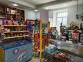 Магазины и бутики · 152 м² за 55 млн 〒 в Семее — фото 5