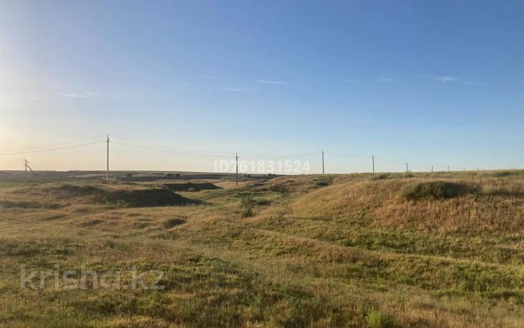 Жер телімі · 8.48 га, Касымбек Датка, бағасы: 18 млн ₸ в Кайнарбулаке — фото 10