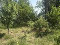 Отдельный дом · 6 комнат · 120 м² · 12 сот., мкр Турксиб, Наршөккен 31 — Конец Абая за 20.5 млн ₸ в Таразе — фото 8