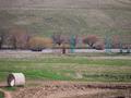 Сельское хозяйство • 1800 м² за 480 млн 〒 в Туркестанской обл. — фото 20