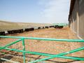 Сельское хозяйство • 1800 м² за 480 млн 〒 в Туркестанской обл. — фото 68