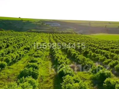 Участок · 31.2 га, Туркестанская обл. за 162 млн ₸