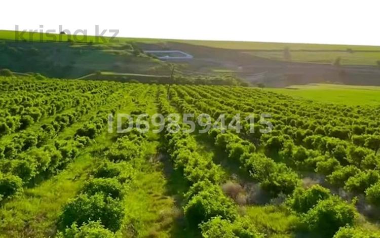 Жер телімі · 31.2 га, Түркістан обл., бағасы: 162 млн ₸ в Туркестанской обл. — фото 14