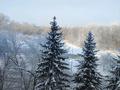 3-бөлмелі пәтер · 75.1 м² · 5/7 қабат, Протозанова 123 — Стрелка, бағасы: 42 млн ₸ в Усть-Каменогорске, Ульбинский — фото 16