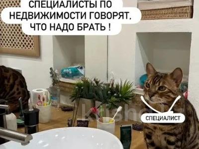 2-комнатная квартира · 53 м² · 4/5 этаж, Муратбаева 175 за 39.5 млн ₸ в Алматы, Алмалинский р-н