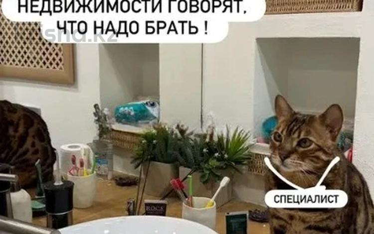 2-комнатная квартира · 53 м² · 4/5 этаж, Муратбаева 175 за 39.5 млн ₸ в Алматы, Алмалинский р-н — фото 10