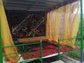 Отдельный дом · 4 комнаты · 90 м² · 6 сот., Жанабаева 22 — Кыпшакбаева за 33.5 млн ₸ в Таразе — фото 3