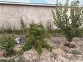Отдельный дом · 3 комнаты · 69.31 м² · 10 сот., 21 км 5 квартал 2042/12 — Бар 012 ден бұрыласын за 10 млн ₸ в  — фото 3