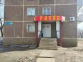 Еркін · 61 м², бағасы: 18 млн ₸ в Степногорске