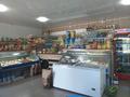 Действующий наработанный магазин с хорошей проходимостью., 151 м² за 31.5 млн 〒 в Семее, мкр Красный Кордон — фото 9