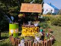 Жеке үй · 5 бөлме · 242.2 м² · 12.5 жүзд., Карагайлы 9 — Рахимова, бағасы: 95 млн ₸ в Кокшетау — фото 30