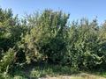 Участок · 10 соток, Клубный переулок 3А за 30.5 млн ₸ в Таразе — фото 11