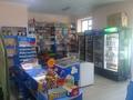 Магазины и бутики • 100 м² за 25 млн 〒 в Талдыкоргане — фото 2