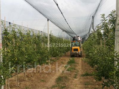 Яблоневый сад за 990 млн 〒 в Шелек