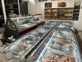 Действующий бизнес, рыбный магазин морских деликатесов, 40 м² за 9 млн 〒 в Алматы, Бостандыкский р-н — фото 4