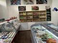 Действующий бизнес, рыбный магазин морских деликатесов, 40 м² за 9 млн 〒 в Алматы, Бостандыкский р-н — фото 8