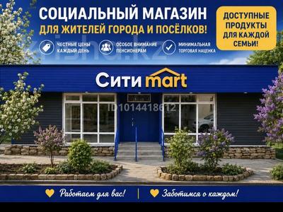 Магазины и бутики, медцентры и аптеки · 1111 м² за 250 000 ₸ в Степногорске