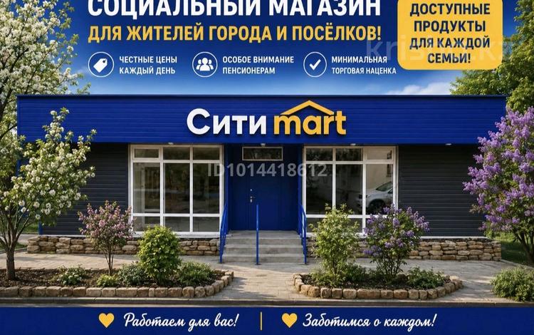 Магазины и бутики, медцентры и аптеки · 1111 м² за 250 000 ₸ в Степногорске — фото 2