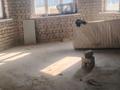Жеке үй · 5 бөлме · 130 м² · 10 жүзд., Саяхат 29 61, бағасы: 18 млн ₸ в  — фото 6