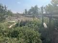 Отдельный дом · 3 комнаты · 250 м² · 20 сот., Село Караой,ул Рихарде Зорге 11 за 24 млн ₸ в Алматы — фото 41
