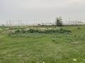 Жер телімі · 10 сотық, Ульгули, бағасы: 2.8 млн ₸ — фото 4
