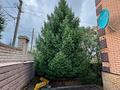 Жеке үй · 6 бөлме · 450 м² · 8 жүзд., Воронина 123/1, бағасы: ~ 150 млн ₸ в Усть-Каменогорске — фото 80