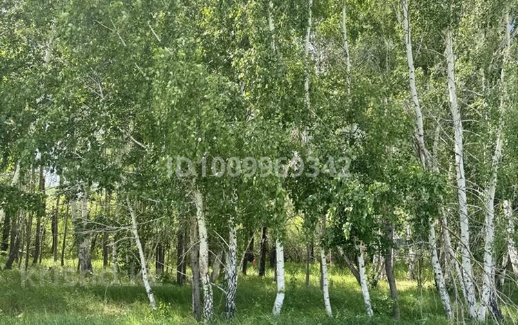 Жер телімі · 23 сотық, Аккайын, бағасы: 37.5 млн ₸ — фото 20